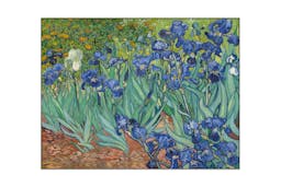 Akoestisch schilderij - Vincent van Gogh - Irises