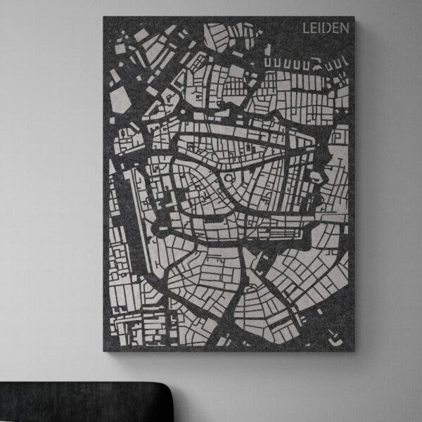 PET-vilt City Map Leiden